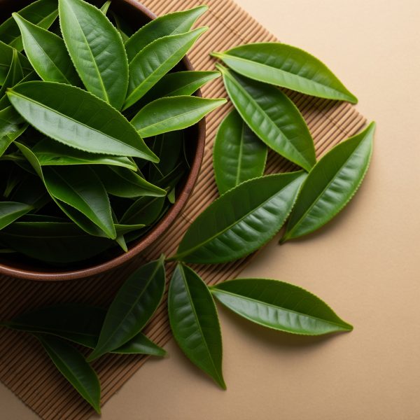 Organic Green Tea